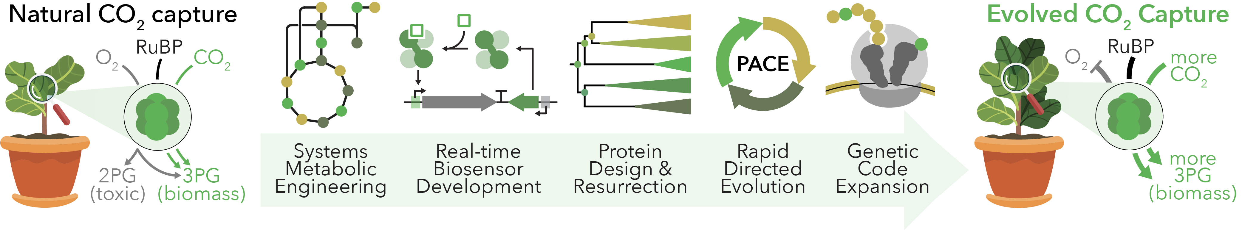 Researchareas Carboncapture V